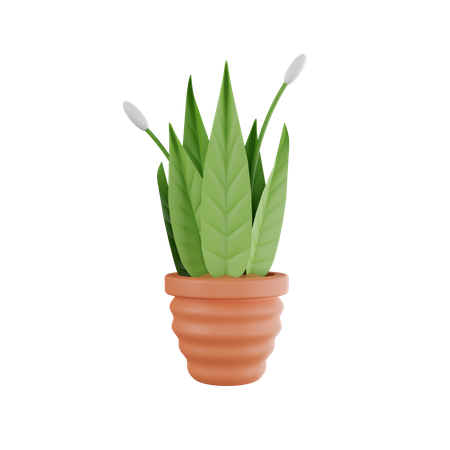 Vaso de planta  3D Icon