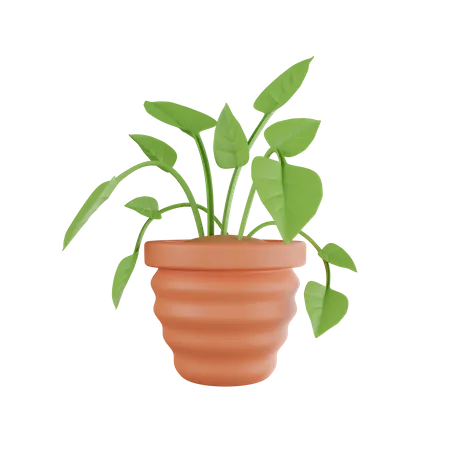 Vaso de planta  3D Icon