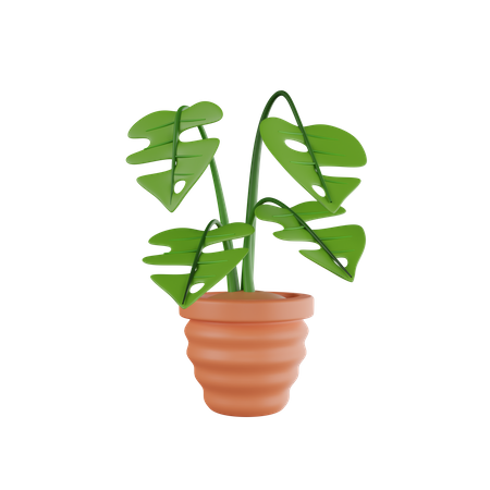 Vaso de planta  3D Icon