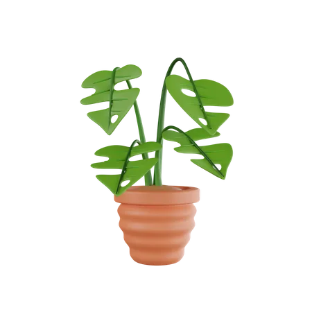 Vaso de planta  3D Icon