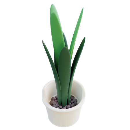 Vaso de planta  3D Icon