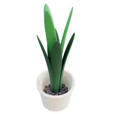 Vaso de planta  3D Icon