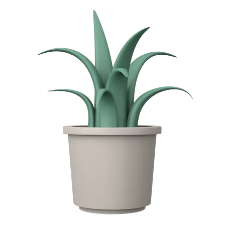 Vaso de planta  3D Illustration