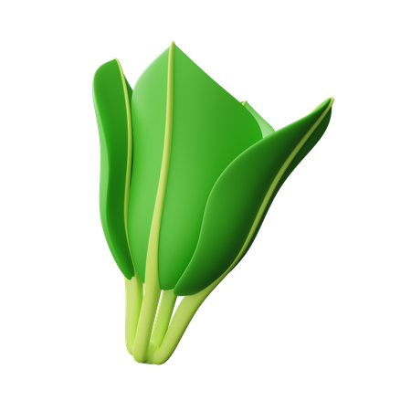 Vegetal  3D Icon