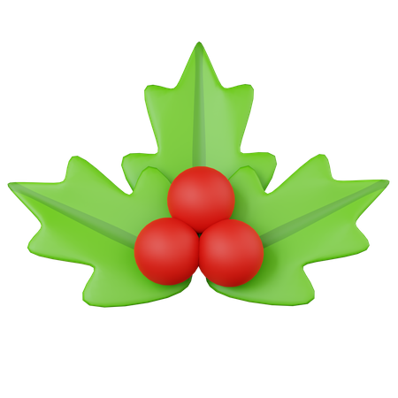 Visco de natal  3D Icon