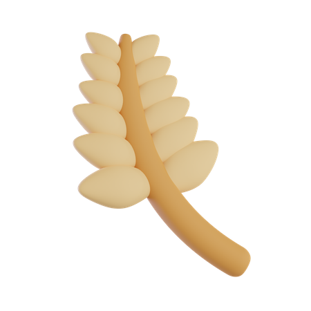 Wheat  3D Icon