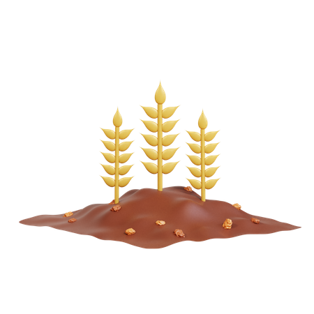 Wheat Farming  3D Icon