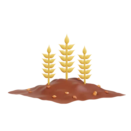 Wheat Farming  3D Icon