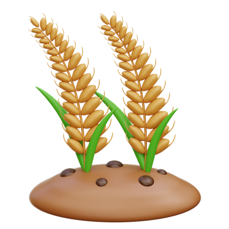 Wheat Farming  3D Icon