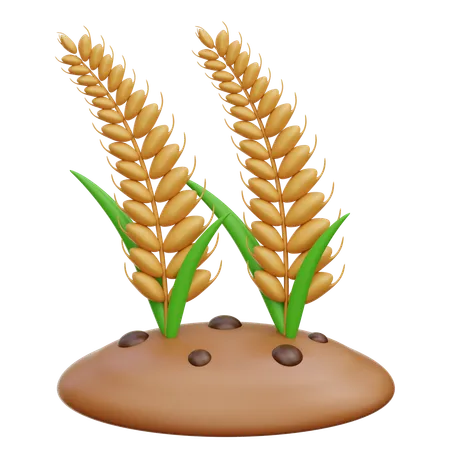 Wheat Farming  3D Icon