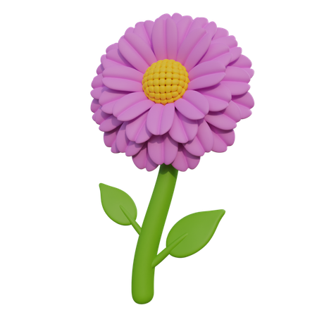 Zinnia  3D Icon