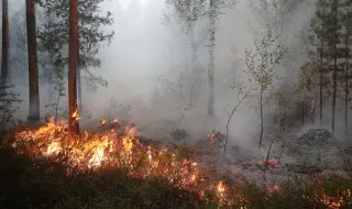 Силни ветрове разпалиха десетки пожари в руската Ростовска област