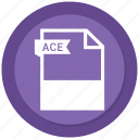 ace, document, extension, file, format, paper