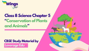 Class 8 Science Chapter 5