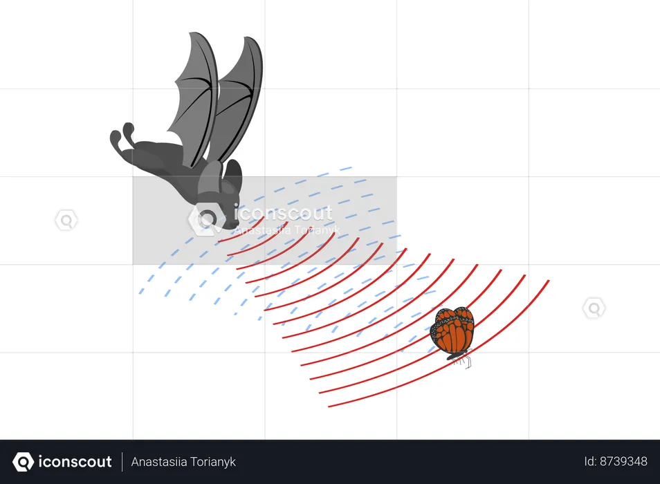 Murciélago y ondas sonoras reflejadas  Ilustración