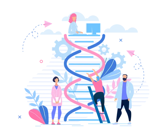 Structure de l'ADN  Illustration