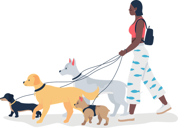 African American girl walking dogs on leashes  Illustration