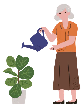 Aged woman watering plant  Illustration