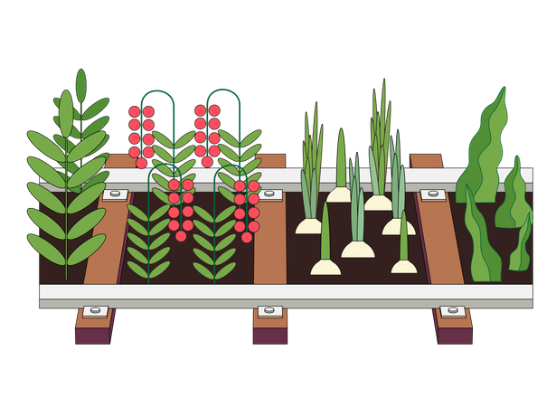 Agricultura y jardinería urbanas.  Ilustración