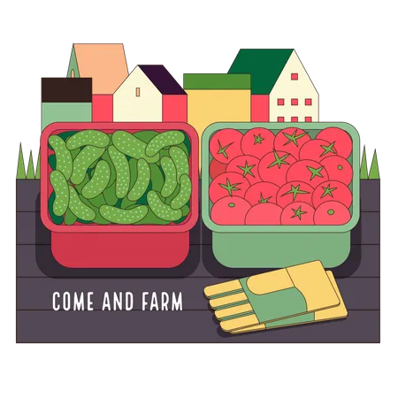 Agricultura y jardinería urbana: pepinos y tomates.  Ilustración