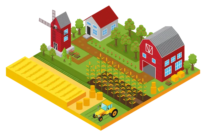 Agriculture Land  Illustration