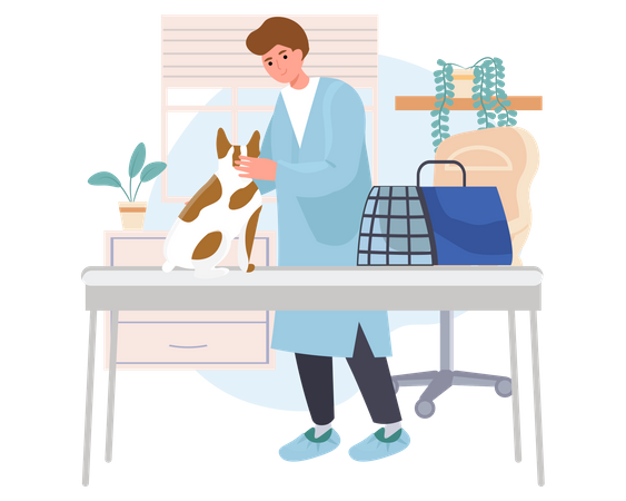 Animal doctor doing check up of dog  Illustration