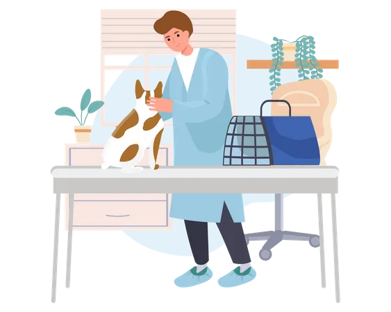 Animal doctor doing check up of dog  Illustration