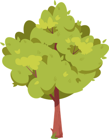 Arbre aux feuilles vertes  Illustration