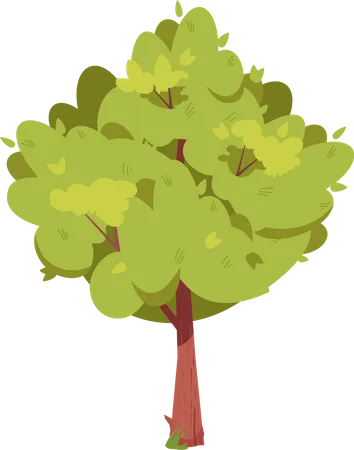 Arbre aux feuilles vertes  Illustration