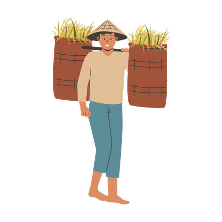 Asian farmer brings harvested rice  Illustration