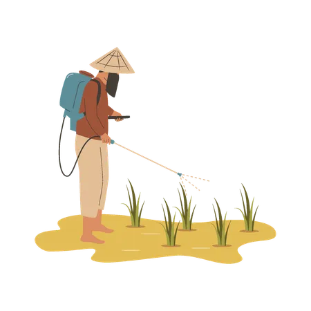 Asian farmer sprays pest control liquid  Illustration