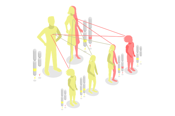 Autosomal Recessive Inheritance  Illustration