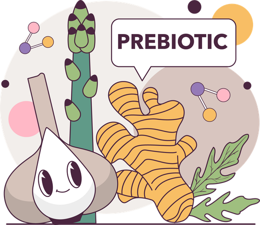 Bacteria in stomach causes infection  Illustration