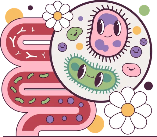 Bacteria slows down stomach digestion  Illustration