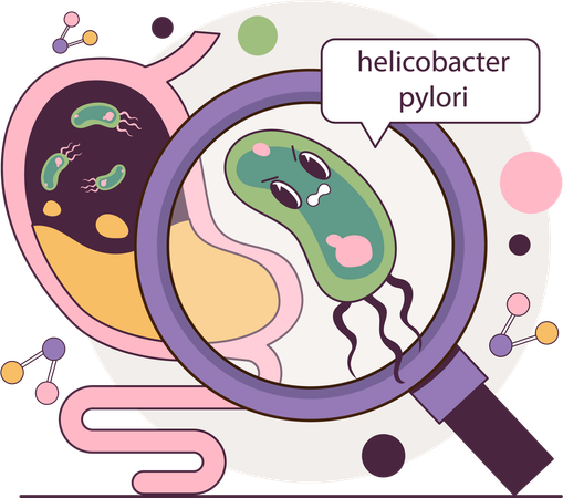 Bacteria spreading in stomach  Illustration