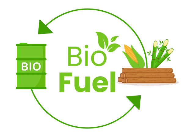 Biofuel Production  Illustration