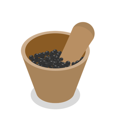 Black Pepper  Illustration