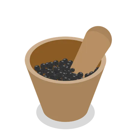 Black Pepper  Illustration