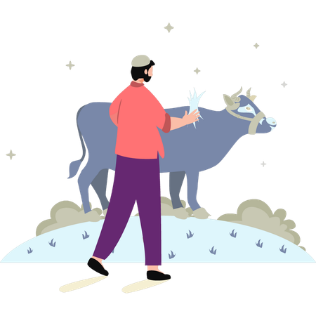 Boy is feeding cow  Illustration