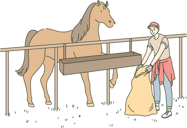 Boy is taking care of horse in stable  Illustration