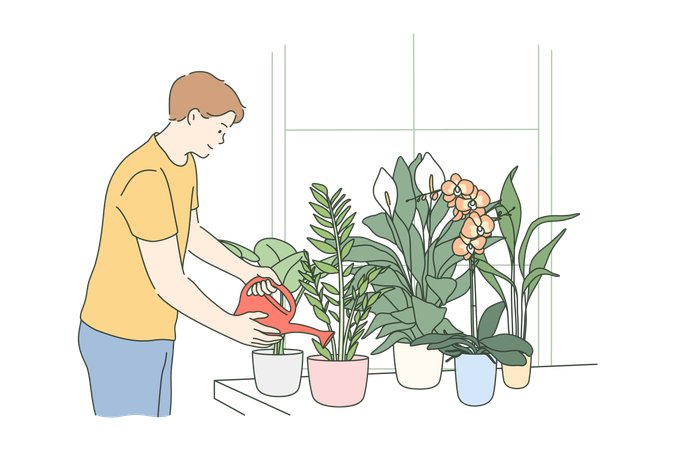 Boy is watering plants  Illustration