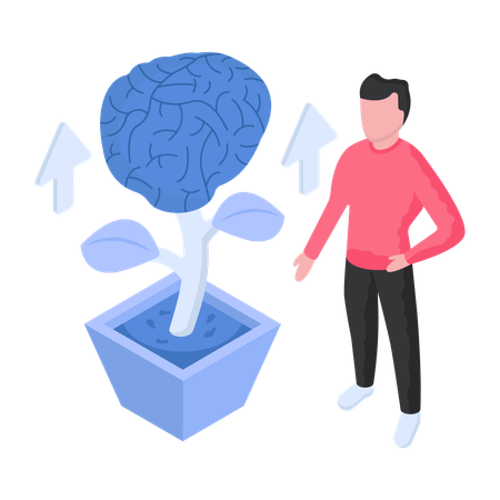 Brain Development  Illustration