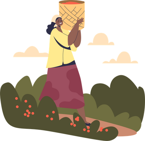 Brazilian woman carry bag with coffee beans from plantation  Illustration