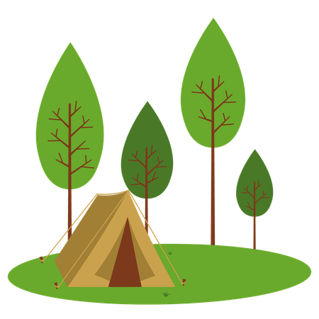 Camp Site  Illustration