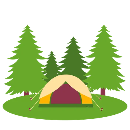 Camp Site  Illustration