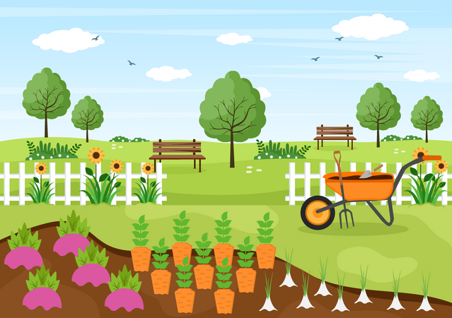 Carrot Farm  Illustration