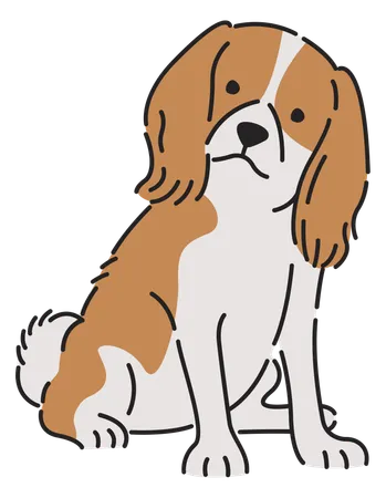 Cavalier spaniel dog  일러스트레이션