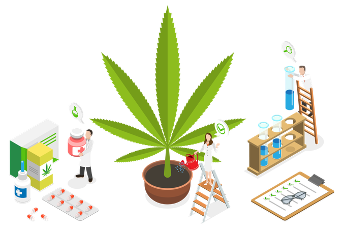 CBD Cultivation  Illustration