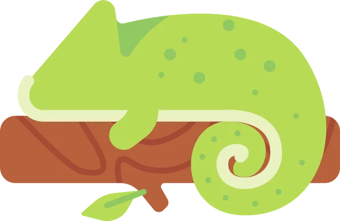 Chameleon  イラスト