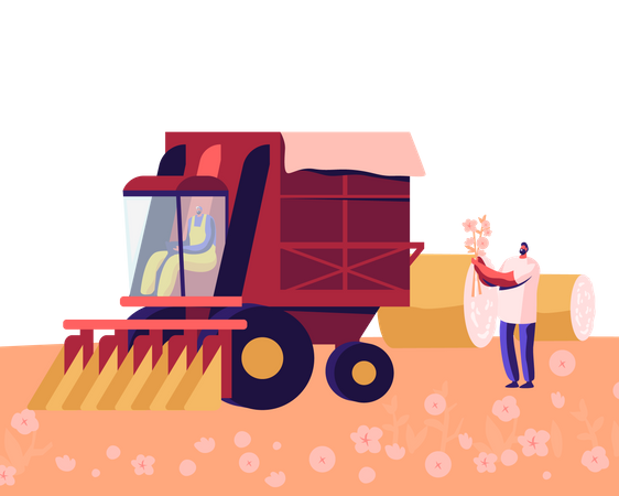 Cotton Picker Working in Field  Illustration